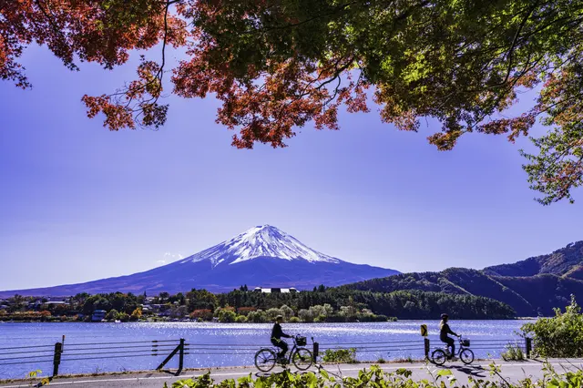 国内外で人気が高まるサイクリングツアー。日本でも観光や移動に自転車利用が増えている理由とは？