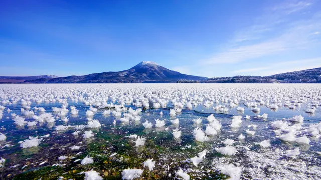 観光立国を目指す日本の豊かな自然とエコツーリズムの効果