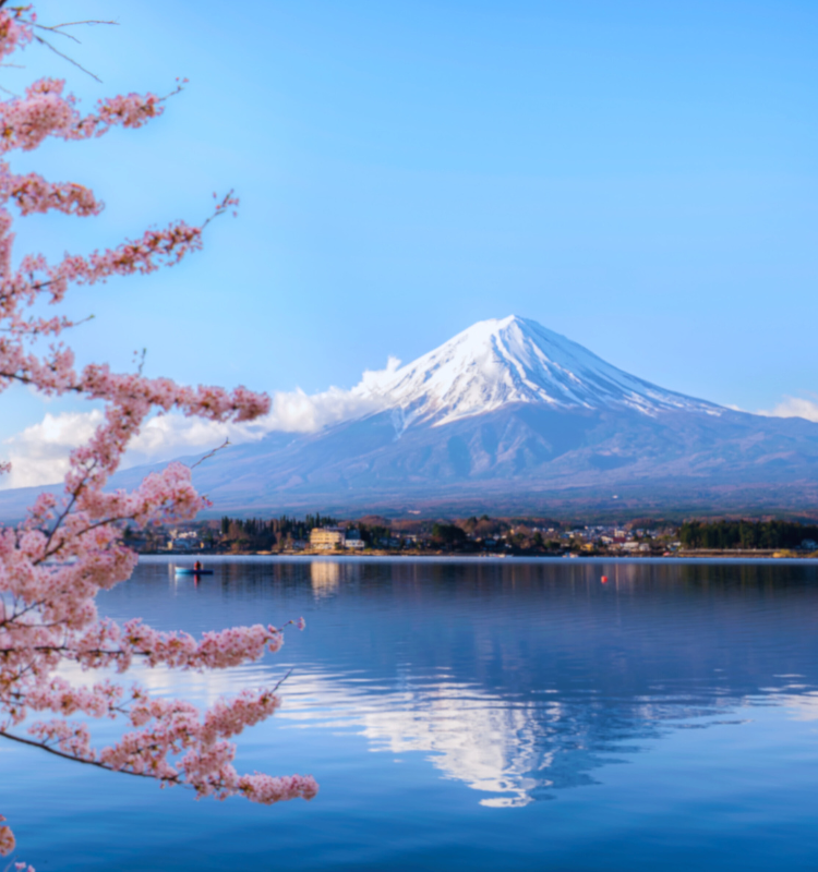 富士山背景